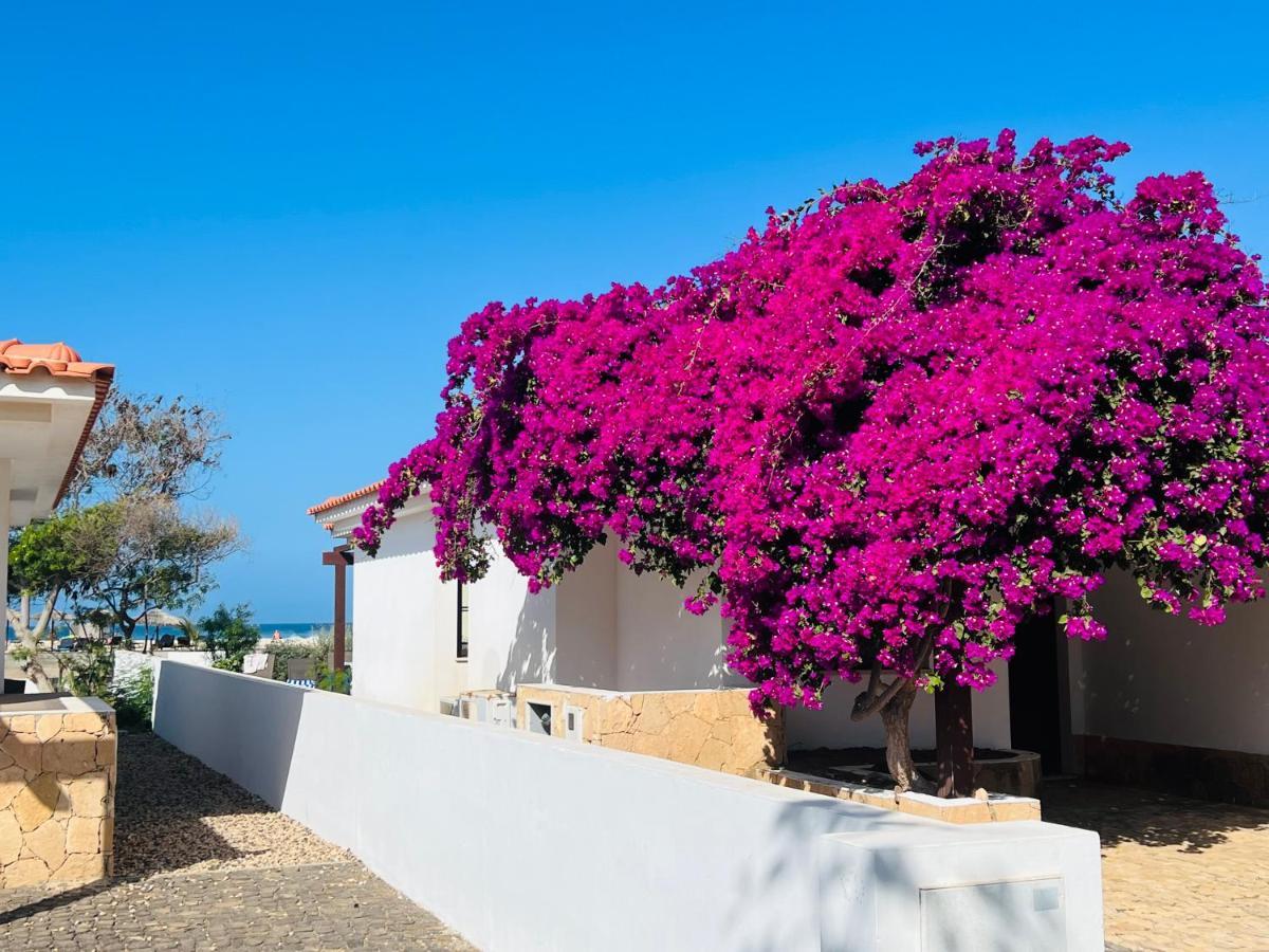 Villa With Privat Pool Near Beach Santa Maria Sal Kap Verde Luaran gambar