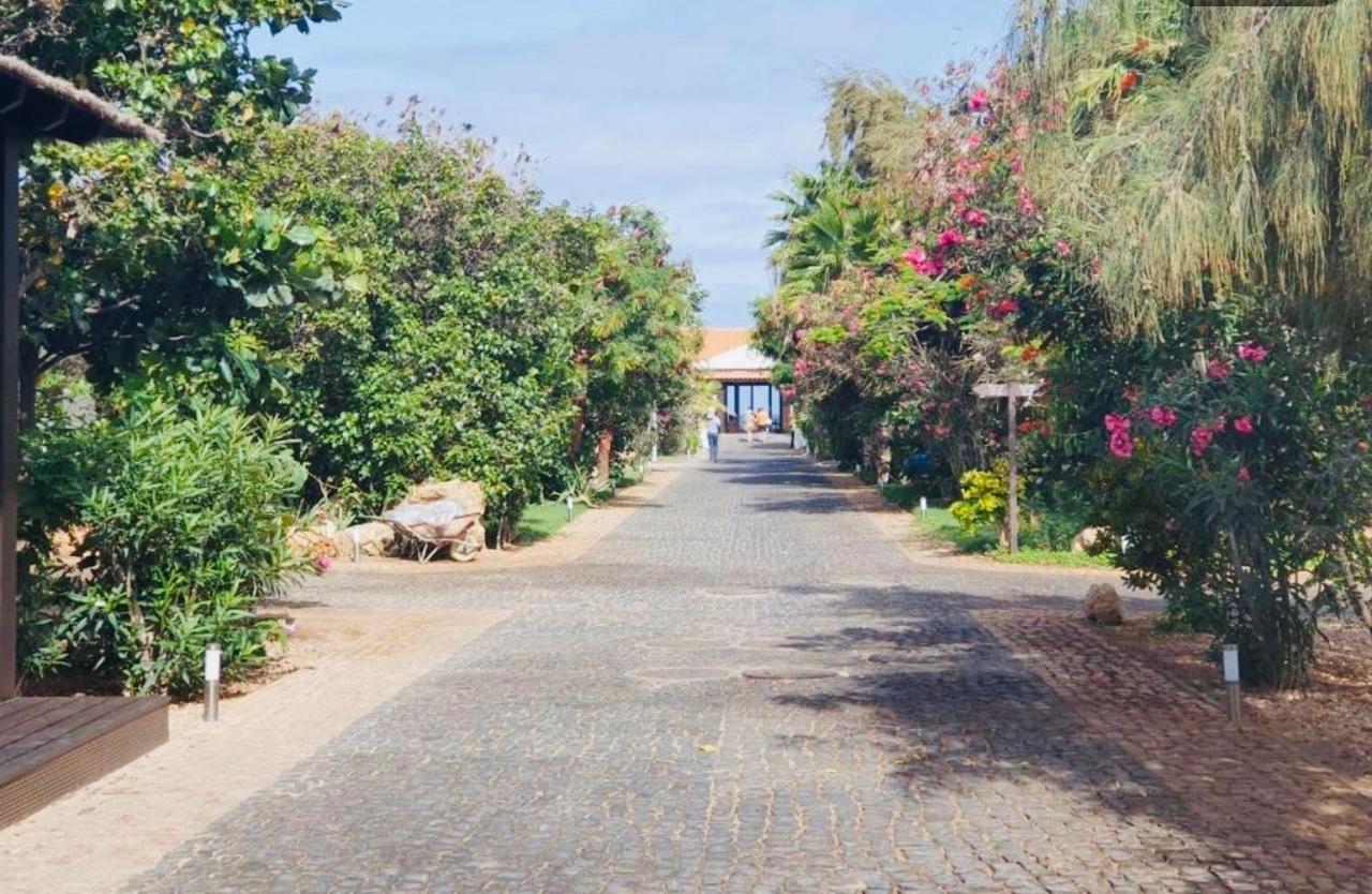 Villa With Privat Pool Near Beach Santa Maria Sal Kap Verde Luaran gambar