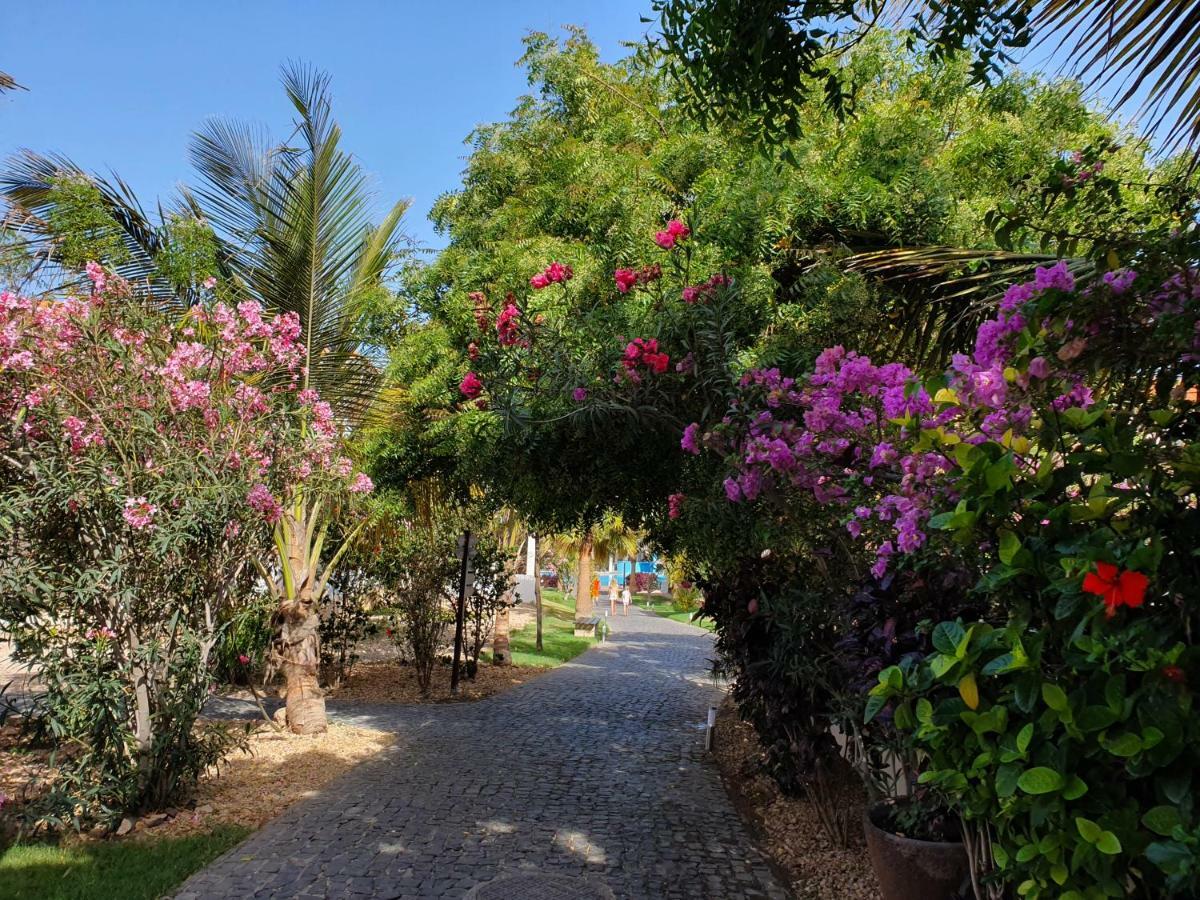 Villa With Privat Pool Near Beach Santa Maria Sal Kap Verde Luaran gambar